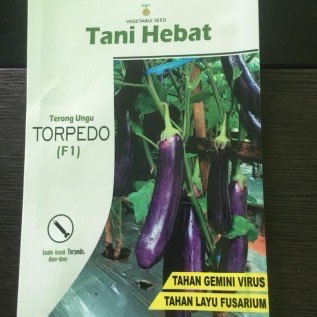 Terong Ungu TORPEDO F1