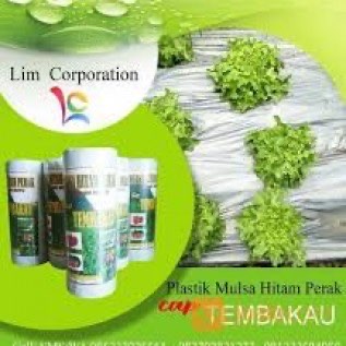 Plastik Mulsa Tembakau