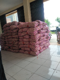 Jual bawang putih biasa, bawang putih kating,dan bawang bombai