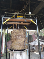 minyak kayu putih murni