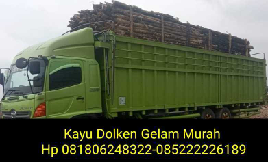 Jual Kayu Dolken Gelam Super Murah