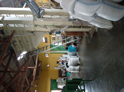Beras Premium Murah