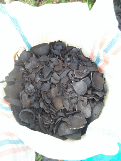 arang kelapa riau