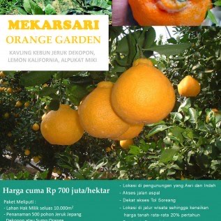 Jual Kavling Kebun Produktif Bandung