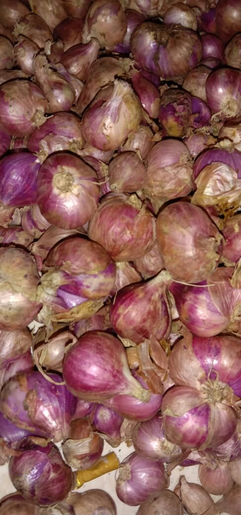 bawang merah super