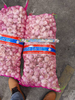 Bawang Putih