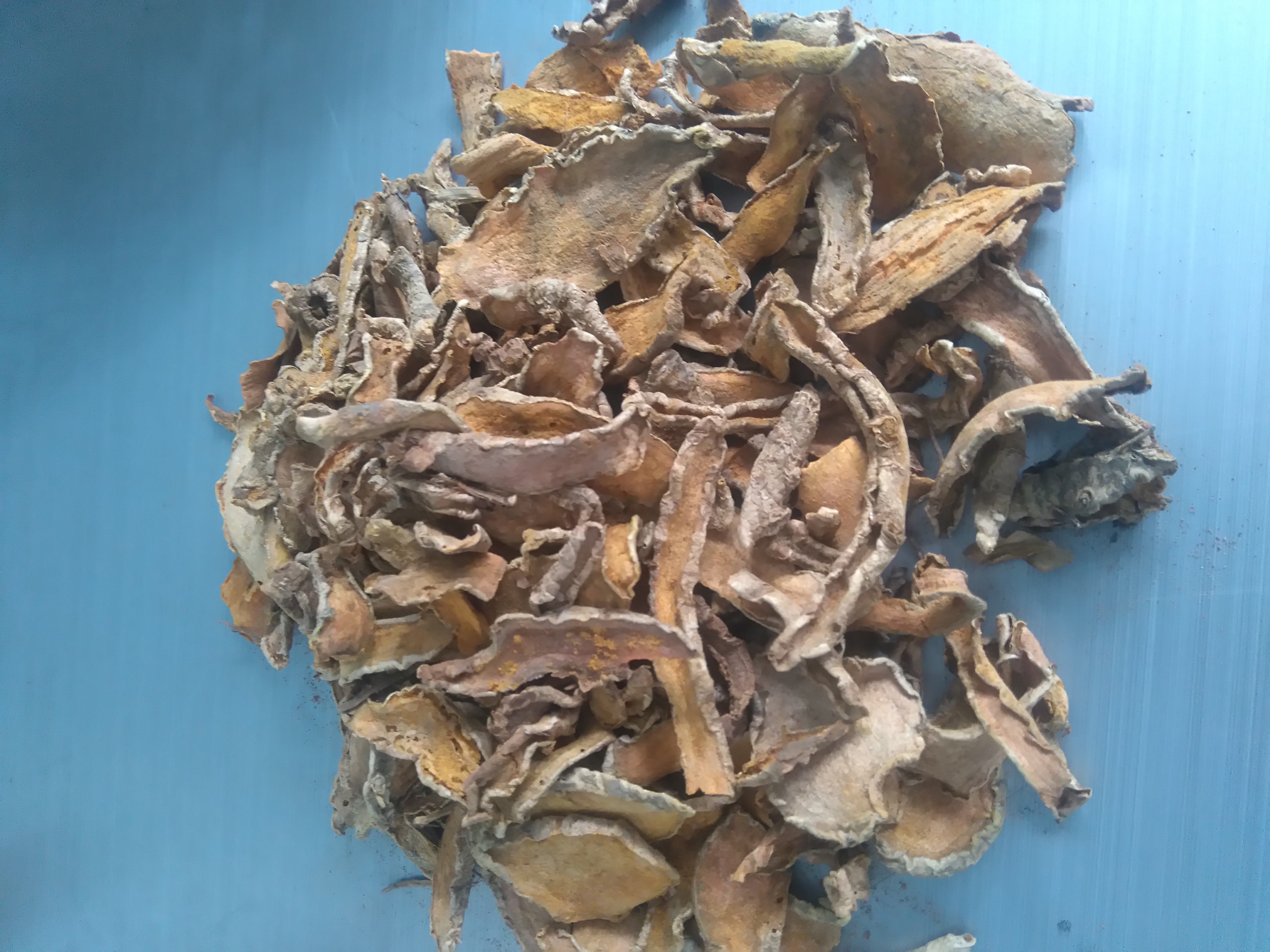 JUAL KUNYIT KERING RAJANG