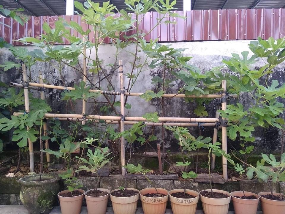 BIbit Tin Balikpapan