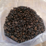 kopi Arabaika berastagi ( Sumut)