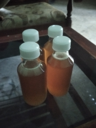 madu klanceng