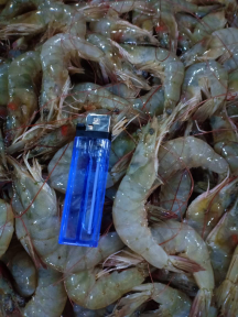 jual bermacam-macam udang dan daging sapi 