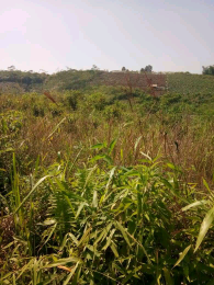 Jual Tanah Murah