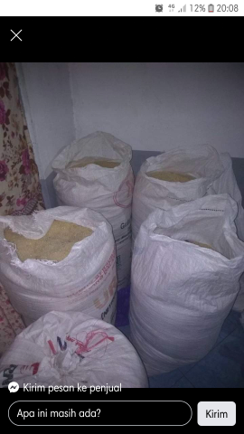 oyek/nasi singkon