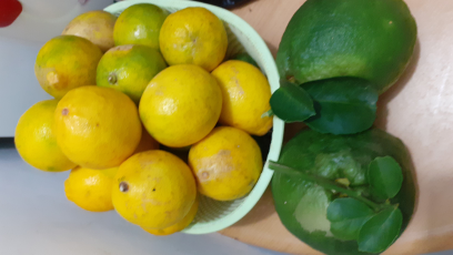 lemon california kualitas A.B harga 7000 sampai 10000