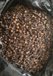 cengkeh