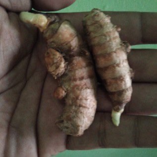 Kayumanis, jahe, lengkuas, cengkeh, kunyit