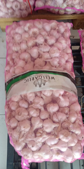 bawang putih honan