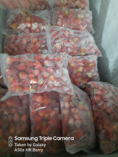 frozen stoberi