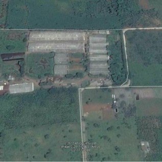 Dijual Peternakan Sapi Potong di Purwakarta