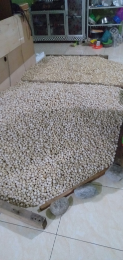 jual kemiri kupas.bulat/pecah