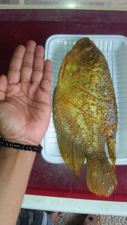 Jual Gurame Bumbu olahan Siap Saji