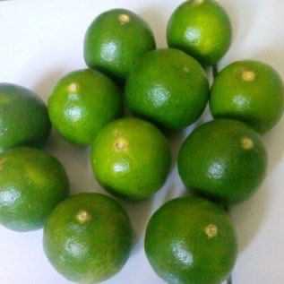 Jual jeruk nipis Jakarta