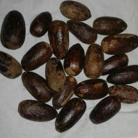 rempah murah