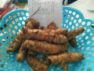 Kunyit Basah Segar Siap Supplay Jabodetabek