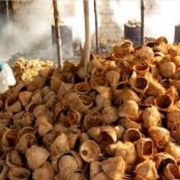 Batok kelapa