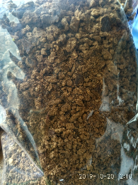 bungkil kopra