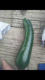 Zuccini