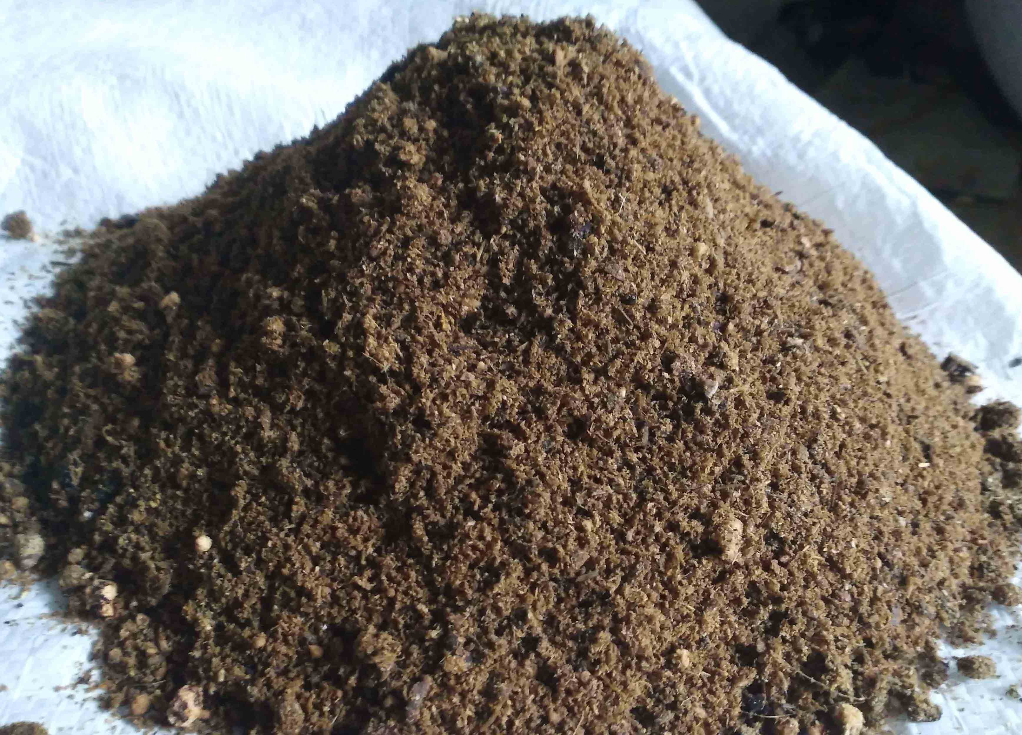 Konsentrat Domba, sapi dan kambing