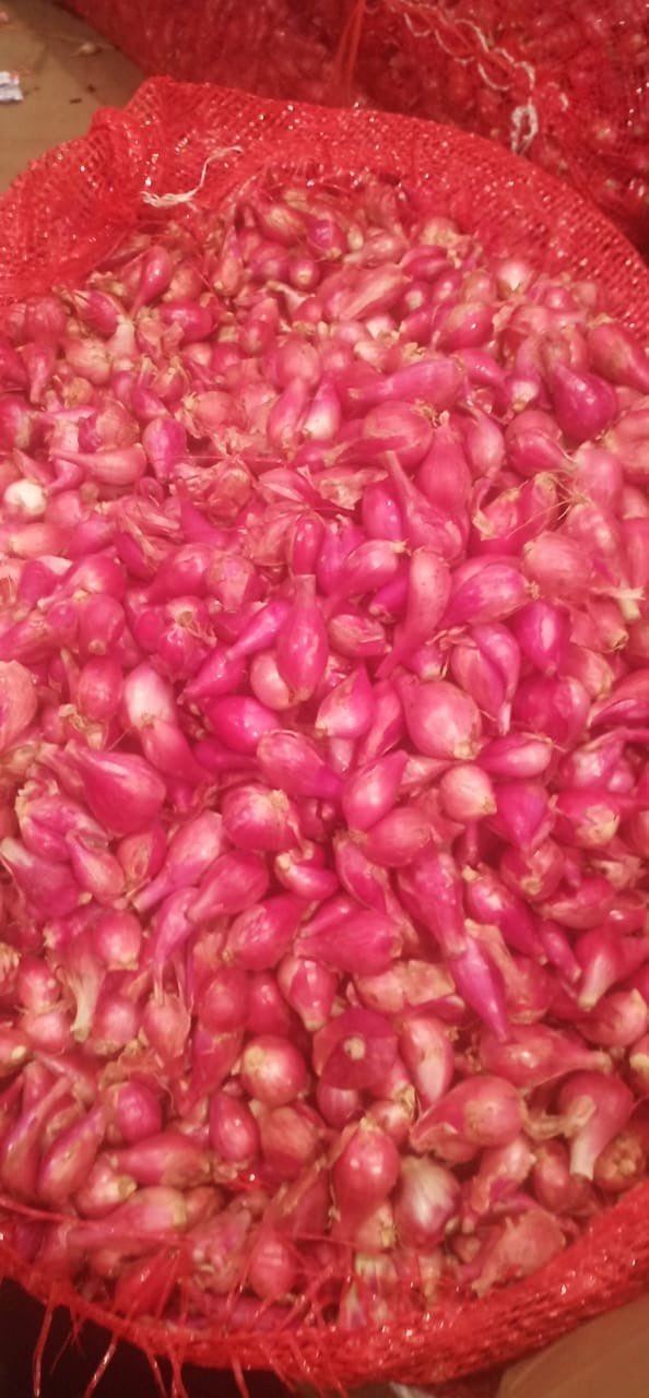 Bawang Merah Murah