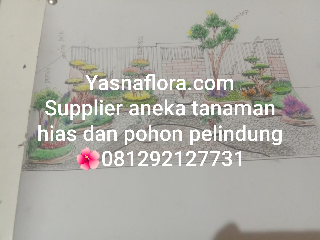 jasa pasang taman 08.12.92.12.77.31