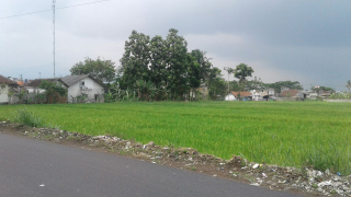 tanah kebun/sawah/properti