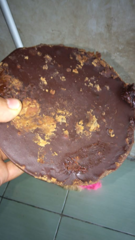 Gula Aren Asli