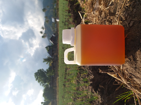 MADU MURNI ASLI HUTAN SUMBAWA 500 ML