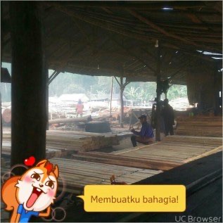 Jual Arang Kayu/kayu olahan