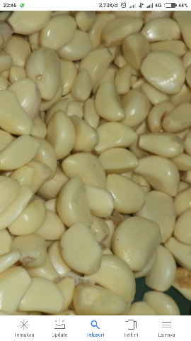 bawang putih
