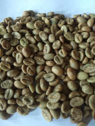 Kopi Robusta Grade A