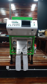 Color Sorter Wesort full warna