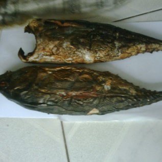 Ikan Tongkol Asap