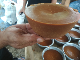 gula masak