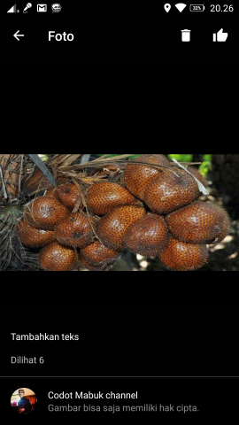 SALAK PONDOH SUPER BANJAR