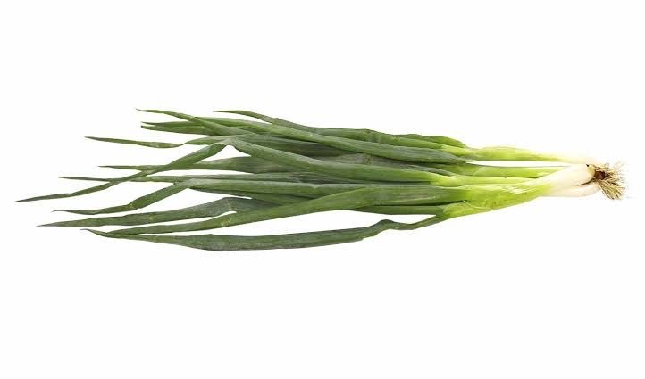 Bawang daun siap panen