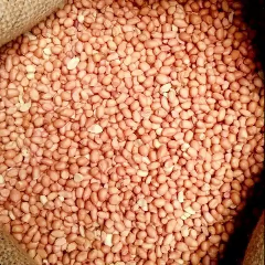 kacang tanah premium