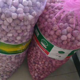 Bawang lanang/tunggal ukuran sedang