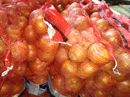 bawang bombay