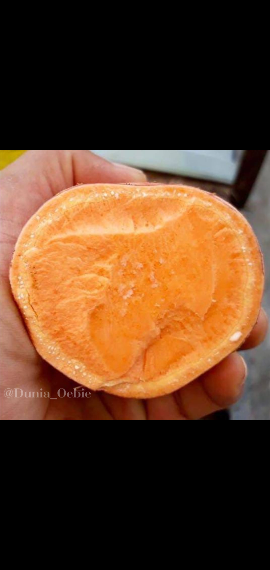 JUAL UBI JALAR / KETELA RAMBAT BERBAGAI JENIS