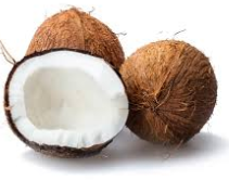kelapa tua kupas/dengan kulit